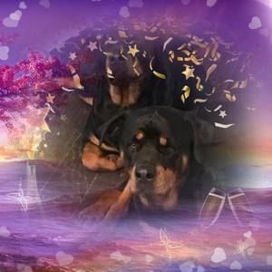 Meet your Posher, Toni